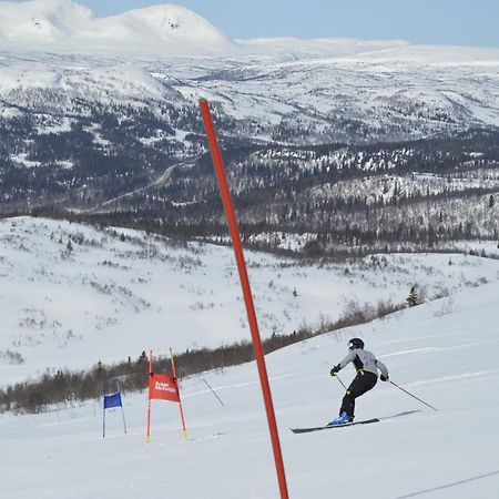 Blasjoens Stugby Stora Blasjon Eksteriør bilde
